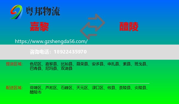 嘉黎县到醴陵市物流专线