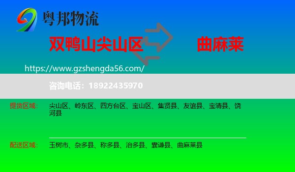 尖山区到曲麻莱县物流专线