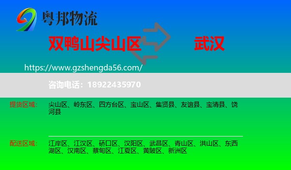 尖山区到武汉专线