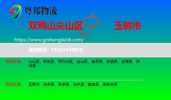 尖山区到玉树市物流专线