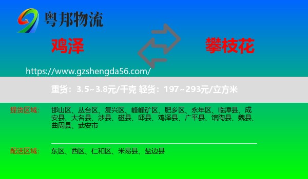 鸡泽县到攀枝花物流