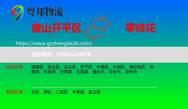 开平区到攀枝花物流专线