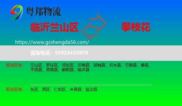 兰山区到攀枝花物流