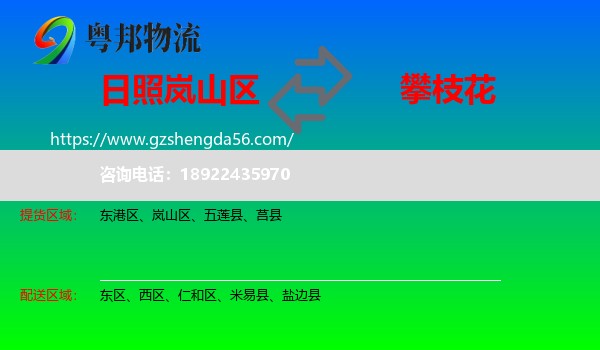 岚山区到攀枝花物流