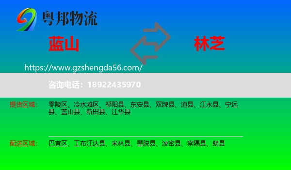 蓝山县到林芝物流
