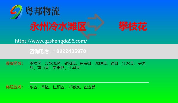 冷水滩区到攀枝花物流