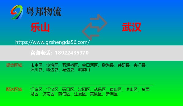 乐山到武汉专线