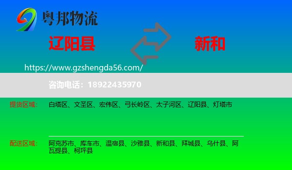 辽阳县到新和县物流专线