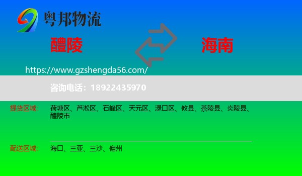 醴陵市到海南物流专线