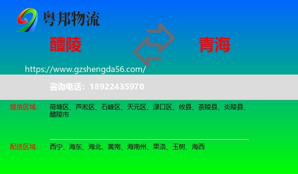 醴陵市到青海物流专线