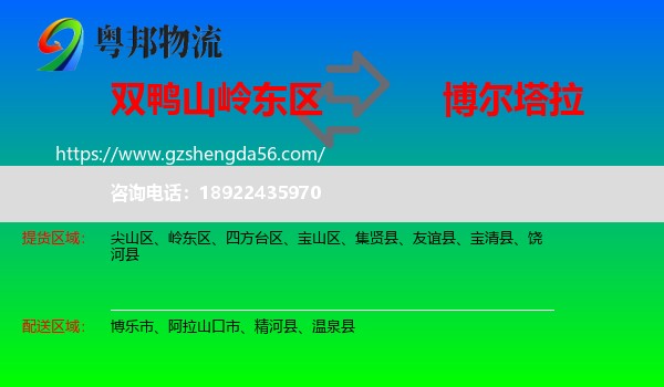 岭东区到博尔塔拉物流专线