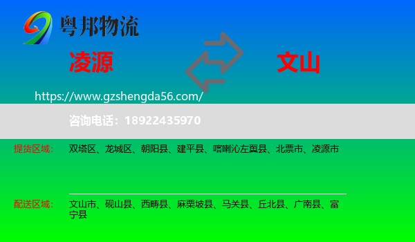 凌源市到文山物流