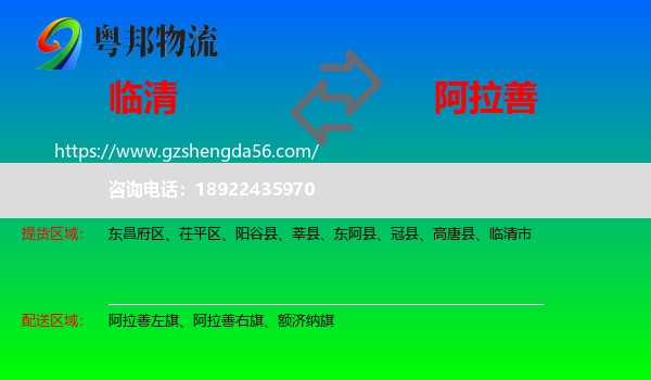 临清市到阿拉善盟物流