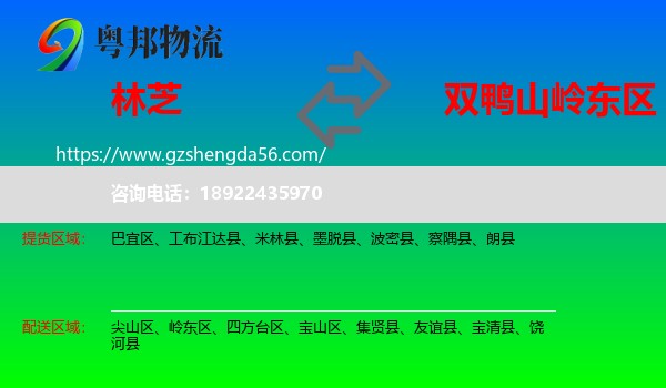 林芝到岭东区物流专线