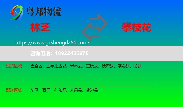 林芝到攀枝花物流