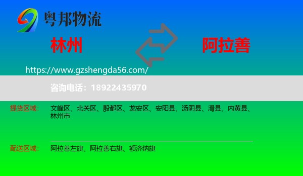 林州市到阿拉善盟物流
