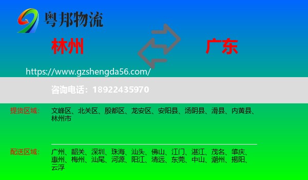 林州市到广东物流