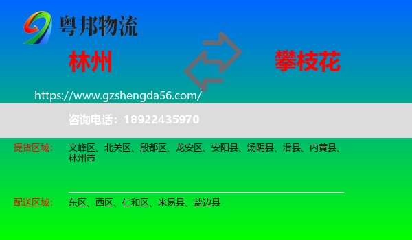 林州市到攀枝花物流