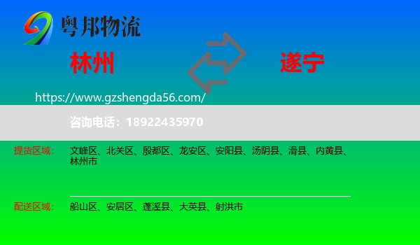 林州市到遂宁物流