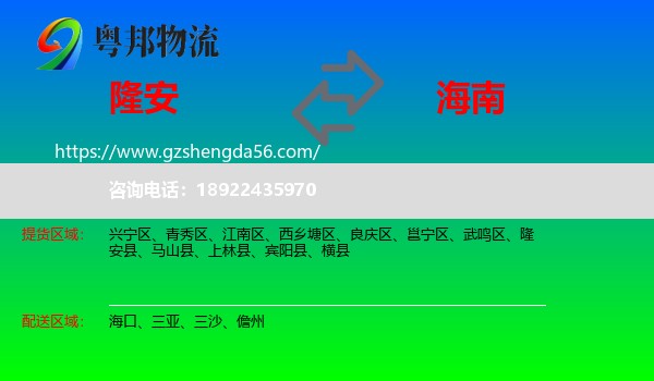 隆安县到海南物流专线