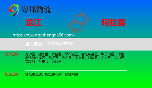龙江县到阿拉善盟物流
