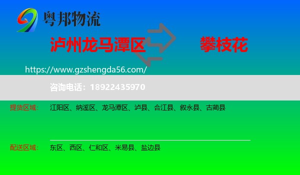 龙马潭区到攀枝花物流专线