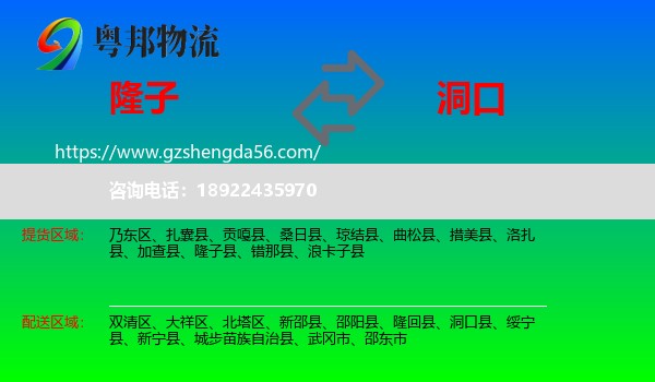 隆子县到洞口县物流专线