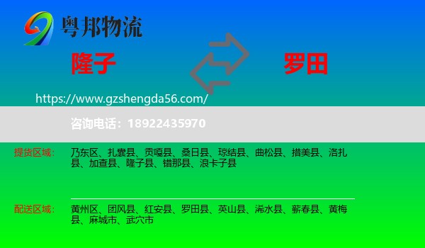 隆子县到罗田县物流专线