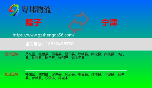 隆子县到宁津县物流专线