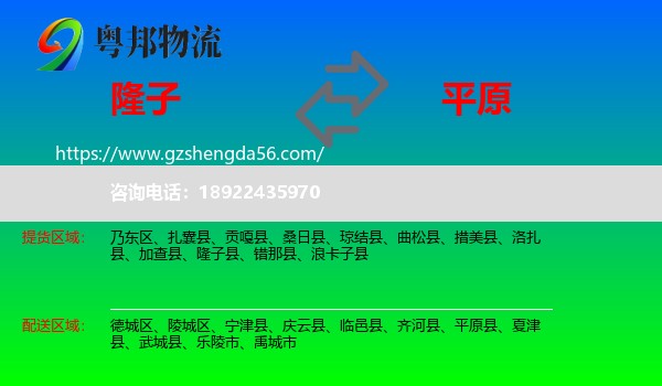 隆子县到平原县物流专线