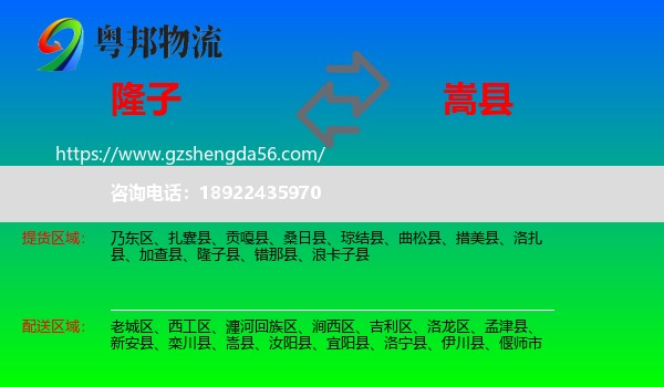 隆子县到嵩县物流专线