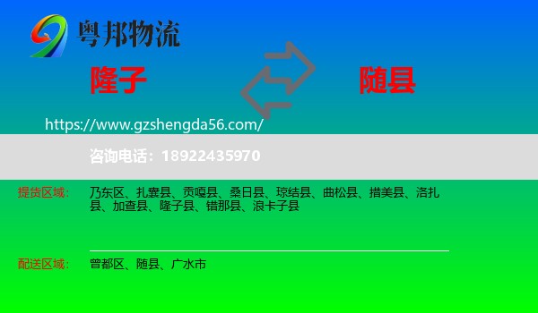 隆子县到随县物流专线