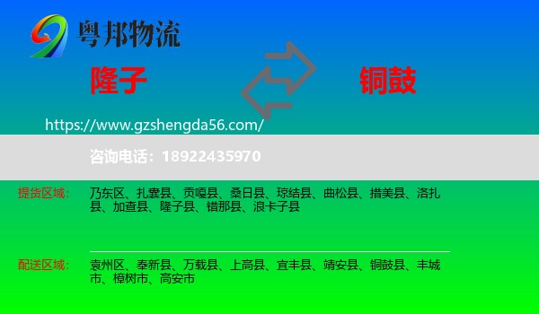 隆子县到铜鼓县物流专线