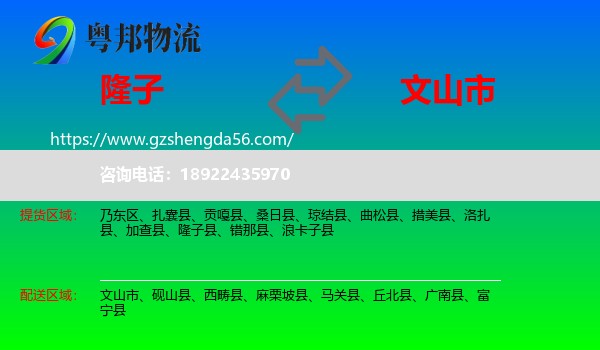 隆子县到文山市物流专线