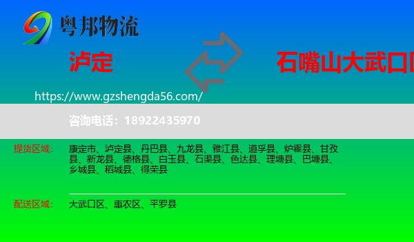 泸定县到大武口区物流专线