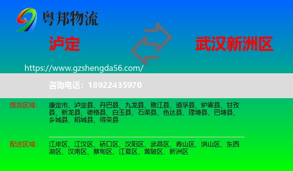 泸定县到新洲区物流专线