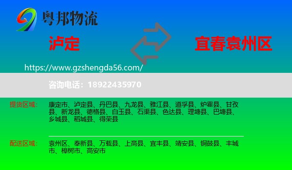 泸定县到袁州区物流专线