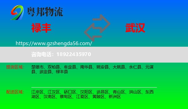 禄丰县到武汉专线