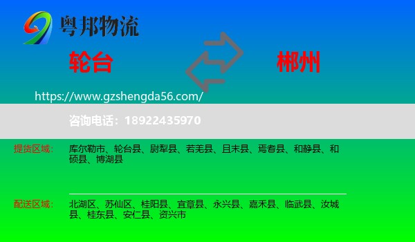轮台县到郴州物流专线