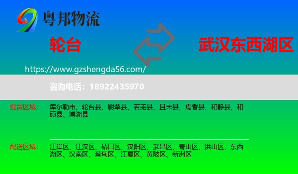 轮台县到东西湖区物流专线