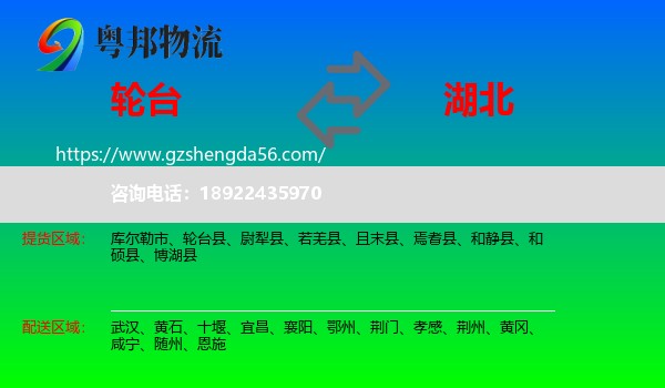 轮台县到湖北物流专线