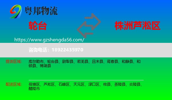 轮台县到芦淞区物流专线