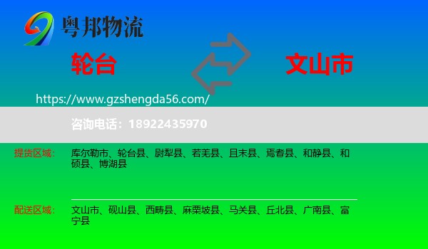 轮台县到文山市物流专线