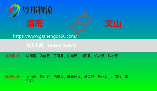 洛南县到文山物流