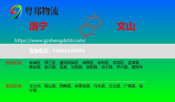 洛宁县到文山物流