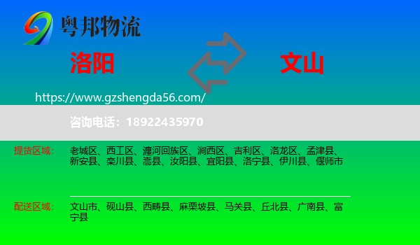 洛阳到文山物流