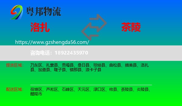 洛扎县到茶陵县物流专线
