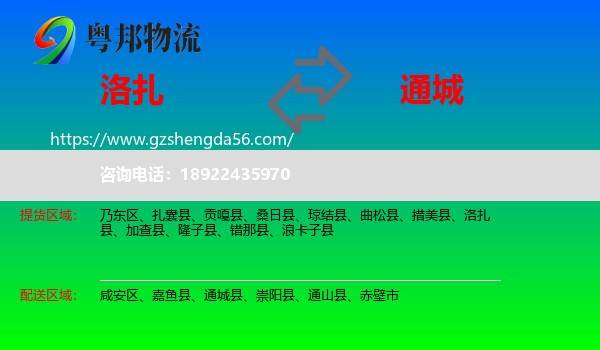 洛扎县到通城县物流专线