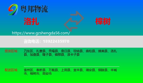 洛扎县到樟树市物流专线