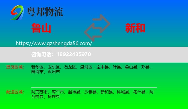 鲁山县到新和县物流专线